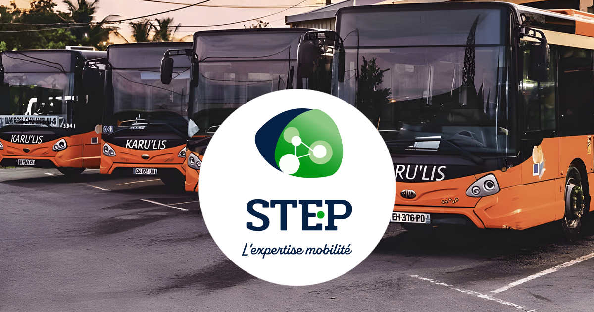 (c) Stepgroup.fr
