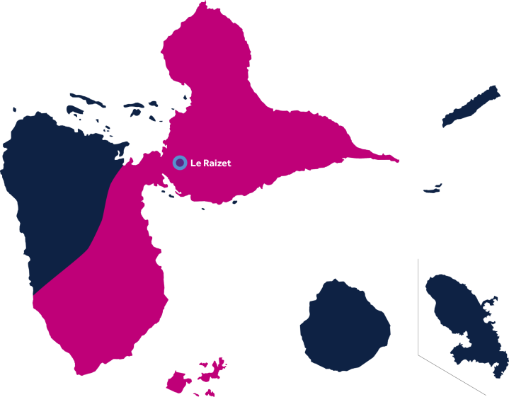 Représentation de la carte TransLogData (TLD)